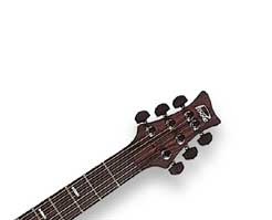 Custom Built - Hollow Body