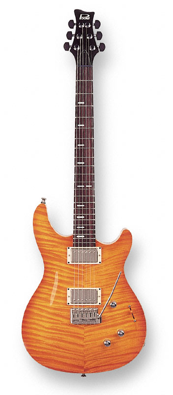 Sid Poole's Custom Solid Guitar