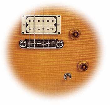 Sid Poole Custom Hollow Body Pickups/Body