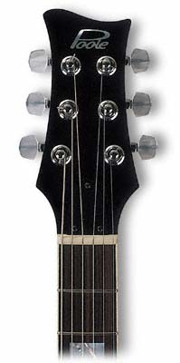 Semi-Acoustic Body