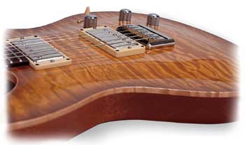 Sid Poole Custom Solid Body Pickups/Body