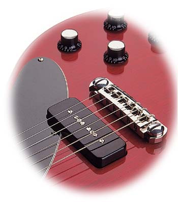 Sid Poole Custom Hollow Body Pickups/Body